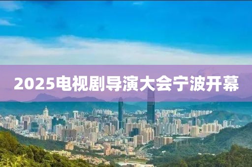 2025电视剧导演大会宁波开幕