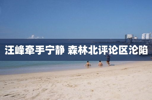 汪峰牵手宁静 森林北评论区沦陷