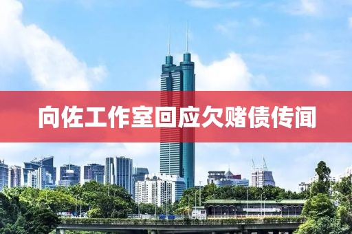 向佐工作室回应欠赌债传闻
