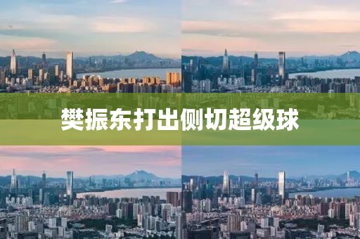 樊振东打出侧切超级球