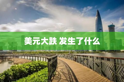 美元大跌 发生了什么