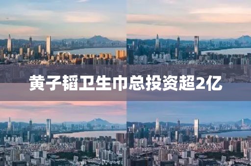 黄子韬卫生巾总投资超2亿