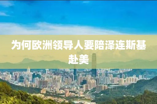 为何欧洲领导人要陪泽连斯基赴美