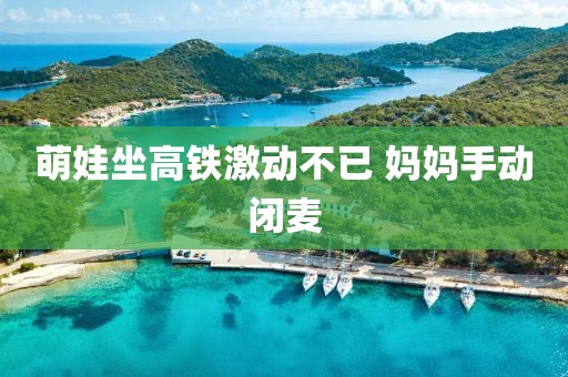 萌娃坐高铁激动不已 妈妈手动闭麦