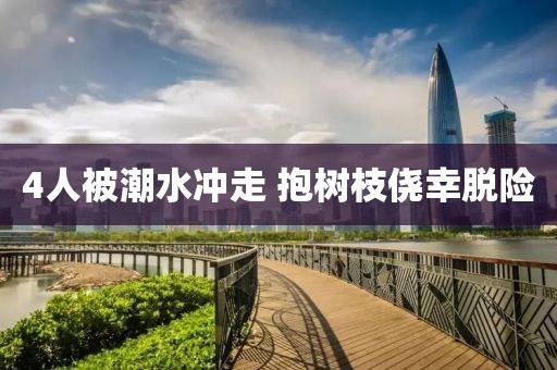 4人被潮水冲走 抱树枝侥幸脱险