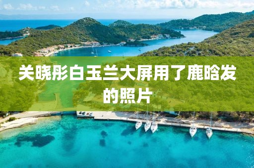 关晓彤白玉兰大屏用了鹿晗发的照片