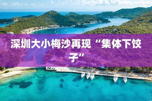 深圳大小梅沙再现“集体下饺子”