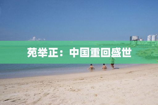 苑举正:中国重回盛世