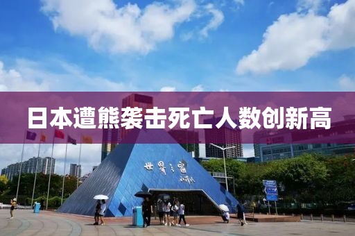 日本遭熊袭击死亡人数创新高