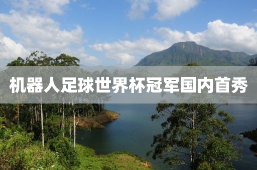 机器人足球世界杯冠军国内首秀