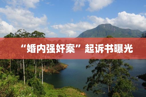 “婚内强奸案”起诉书曝光