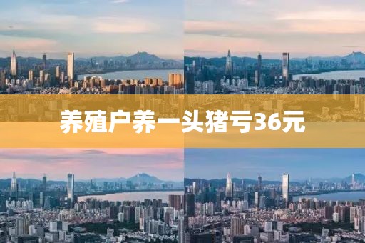 养殖户养一头猪亏36元