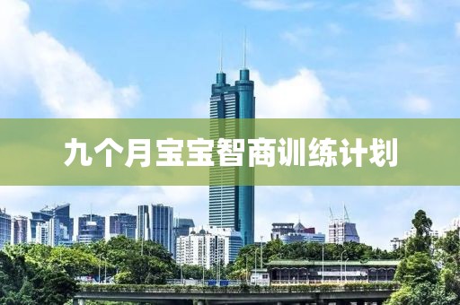 九个月宝宝智商训练计划