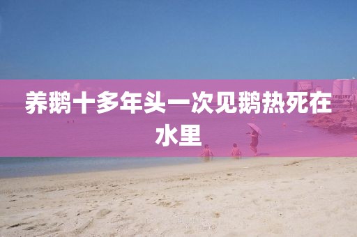 养鹅十多年头一次见鹅热死在水里