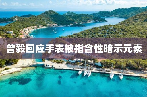 曾毅回应手表被指含性暗示元素