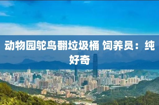 动物园鸵鸟翻垃圾桶 饲养员:纯好奇