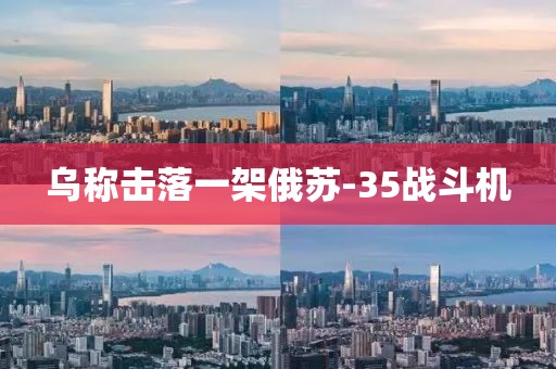 乌称击落一架俄苏-35战斗机