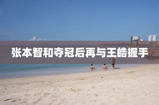 张本智和夺冠后再与王皓握手