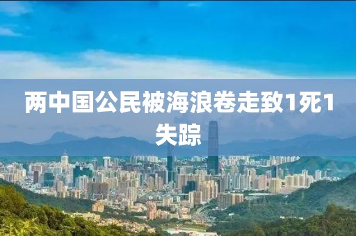 两中国公民被海浪卷走致1死1失踪