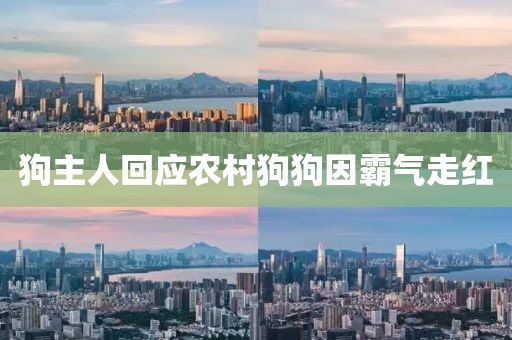 狗主人回应农村狗狗因霸气走红