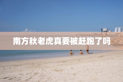南方秋老虎真要被赶跑了吗