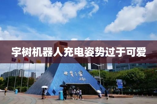 宇树机器人充电姿势过于可爱