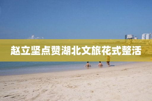 赵立坚点赞湖北文旅花式整活