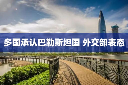 多国承认巴勒斯坦国 外交部表态
