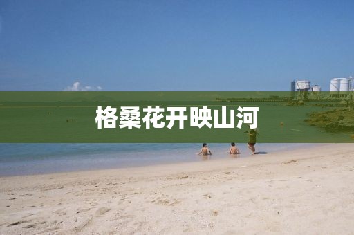 格桑花开映山河