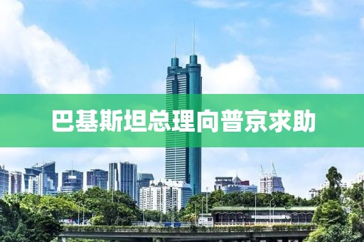 巴基斯坦总理向普京求助