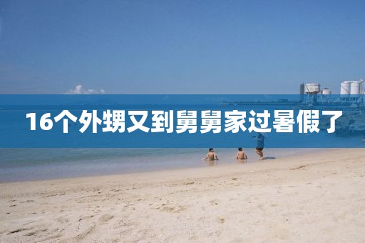 16个外甥又到舅舅家过暑假了