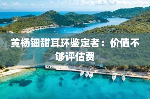 黄杨钿甜耳环鉴定者：价值不够评估费