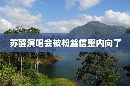 苏醒演唱会被粉丝信整内向了