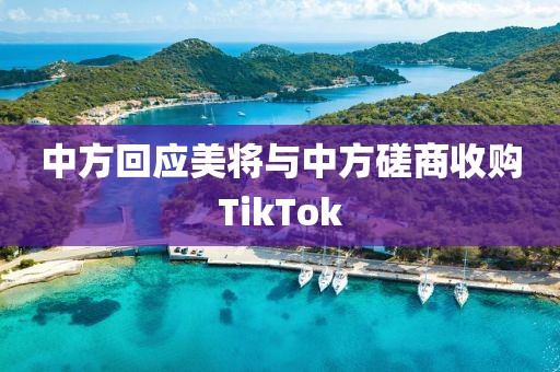 中方回应美将与中方磋商收购TikTok