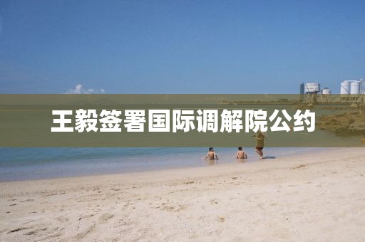 王毅签署国际调解院公约