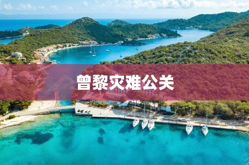 曾黎灾难公关
