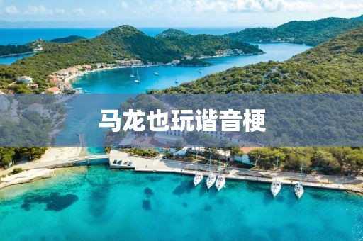 马龙也玩谐音梗