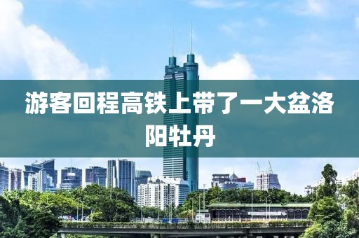 游客回程高铁上带了一大盆洛阳牡丹