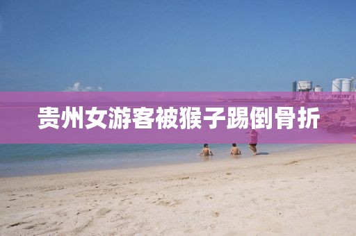 贵州女游客被猴子踢倒骨折