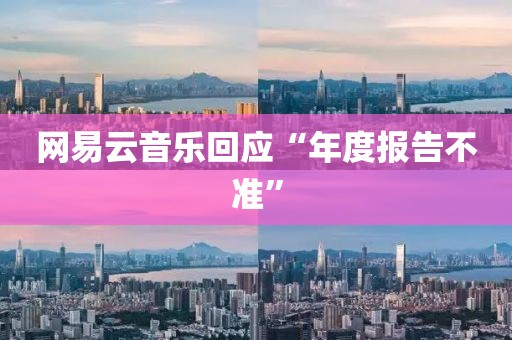 网易云音乐回应“年度报告不准”