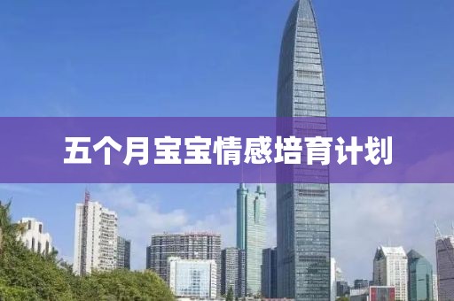 五个月宝宝情感培育计划