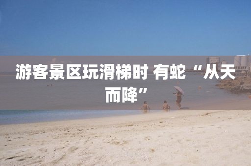 游客景区玩滑梯时 有蛇“从天而降”