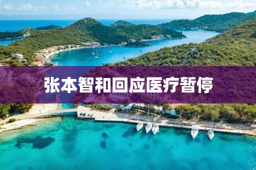 张本智和回应医疗暂停