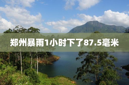 郑州暴雨1小时下了87.5毫米
