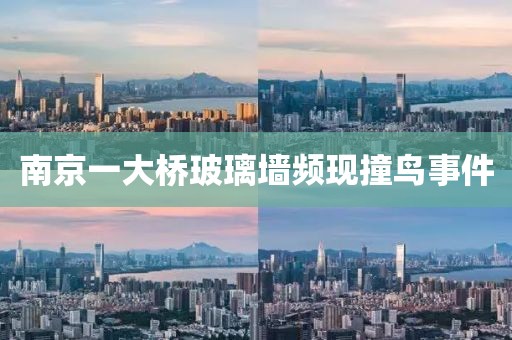 南京一大桥玻璃墙频现撞鸟事件