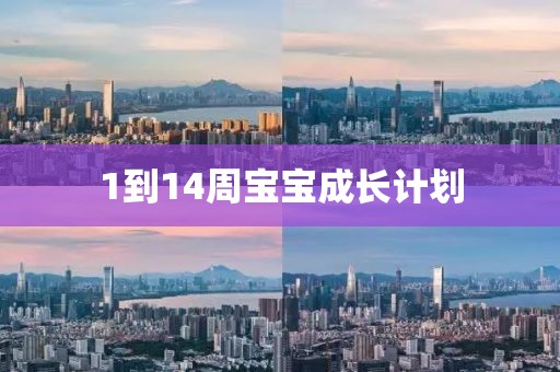 1到14周宝宝成长计划