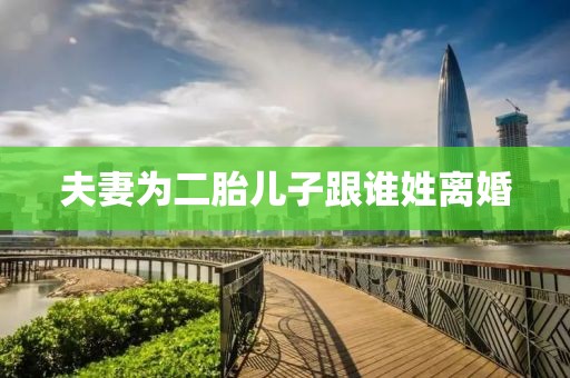 夫妻为二胎儿子跟谁姓离婚