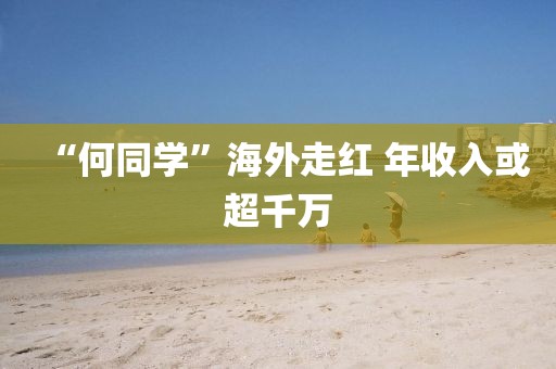 “何同学”海外走红 年收入或超千万