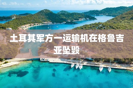土耳其军方一运输机在格鲁吉亚坠毁