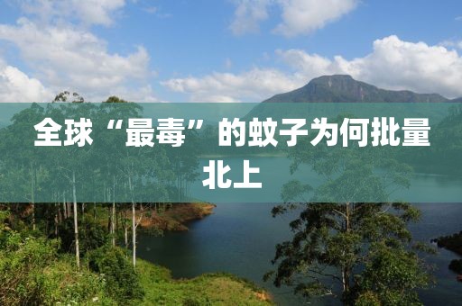 全球“最毒”的蚊子为何批量北上